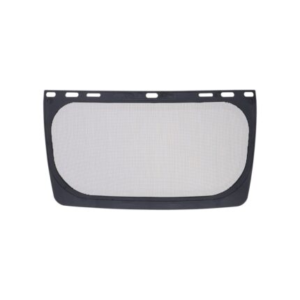 Mesh Visor